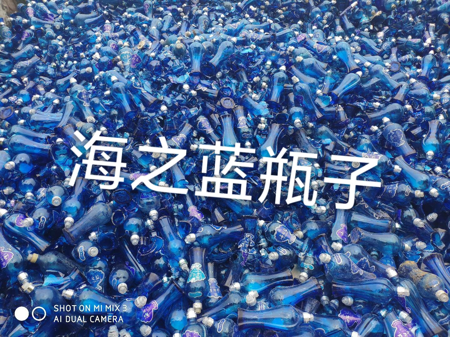 泗阳海之蓝瓶回收