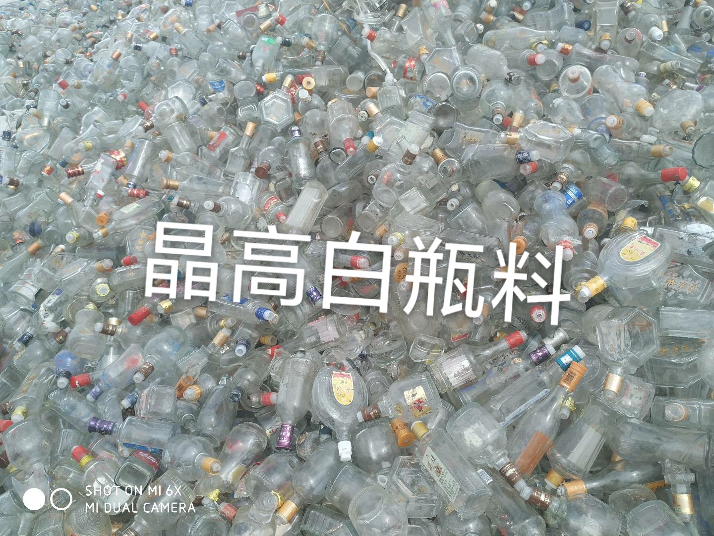 泗阳晶高白瓶料回收
